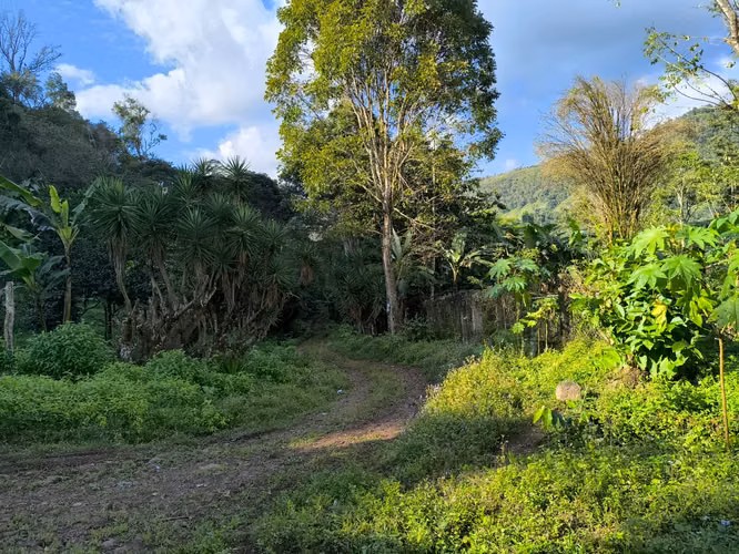 Se Vende Hermosa Finca de Cafe, Sn. Jose Colinas S.B.