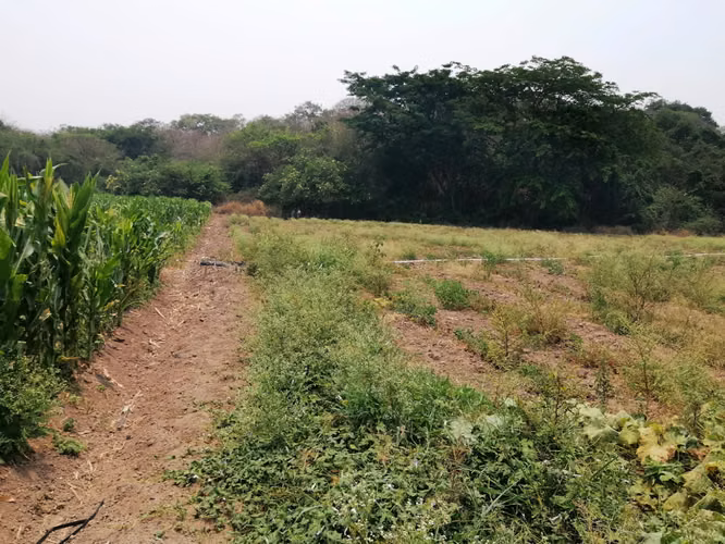 Se Vende Hermosa Propiedad Villa Sn. Antonio/Comayagua