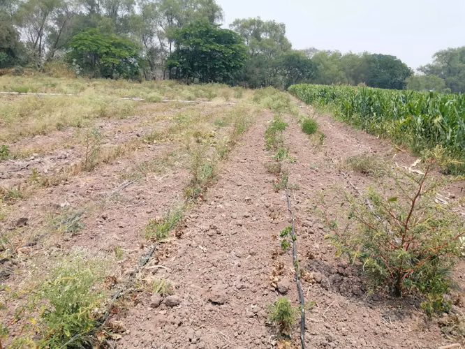 Se Vende Hermosa Propiedad Villa Sn. Antonio/Comayagua