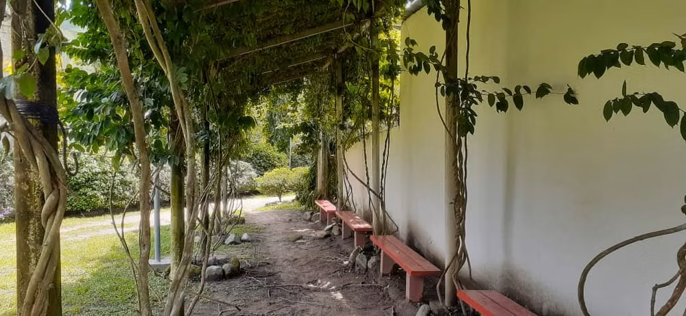 Excelente oportunidad de Inversión en el Zapotal del Norte, SPS. - Imagen 7