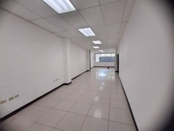 Se Renta Edificio para Oficinas Col. Palmira
