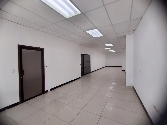 Se Renta Edificio para Oficinas Col. Palmira