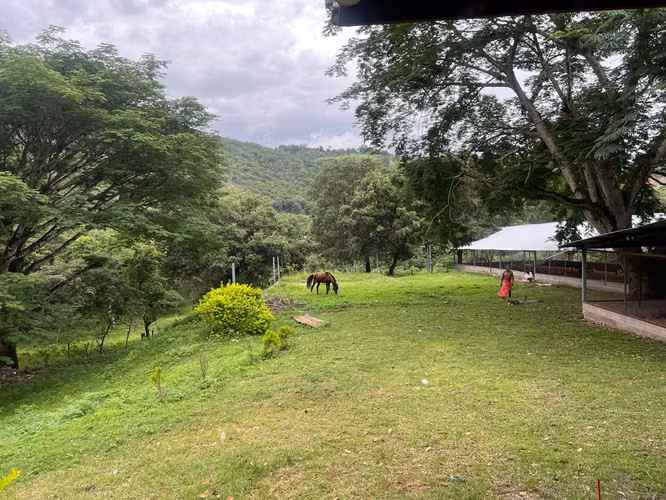 Venta de Casa de Campo + 10 Manzanas de Terreno// Taulabe - Imagen 8