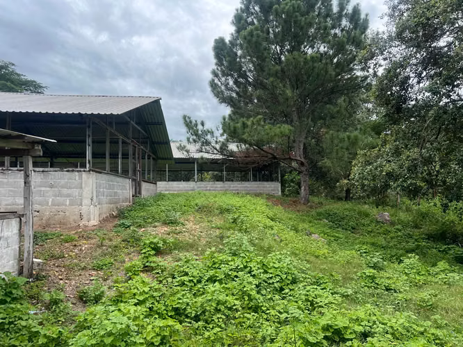 Venta de Casa de Campo + 10 Manzanas de Terreno// Taulabe - Imagen 7
