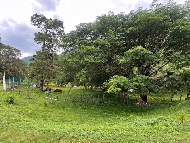 Venta de Casa de Campo + 10 Manzanas de Terreno// Taulabe - Imagen 5