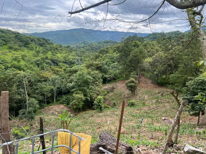 Venta de Casa de Campo + 10 Manzanas de Terreno// Taulabe - Imagen 6