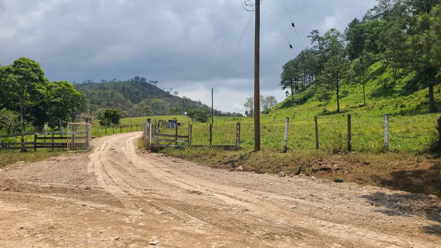 Hermosa propiedad de 51 Manzanas para Ganaderia // Santa Cruz de Yojoa - Imagen 2