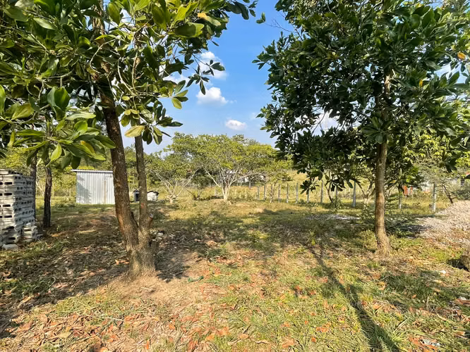 Venta de terreno plano en Siguatepeque // 1 mil varas - Imagen 3