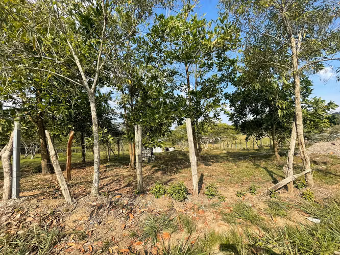 Venta de terreno plano en Siguatepeque // 1 mil varas - Imagen 6