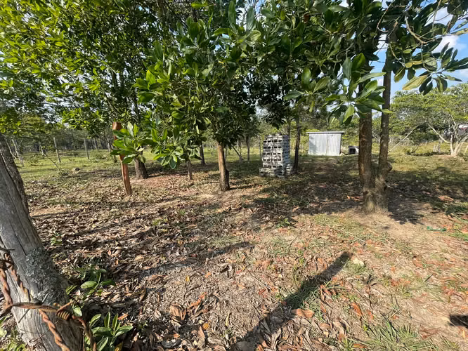 Venta de terreno plano en Siguatepeque // 1 mil varas - Imagen 2
