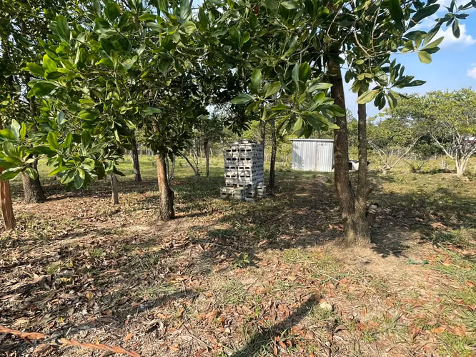 Venta de terreno plano en Siguatepeque // 1 mil varas - Imagen 5
