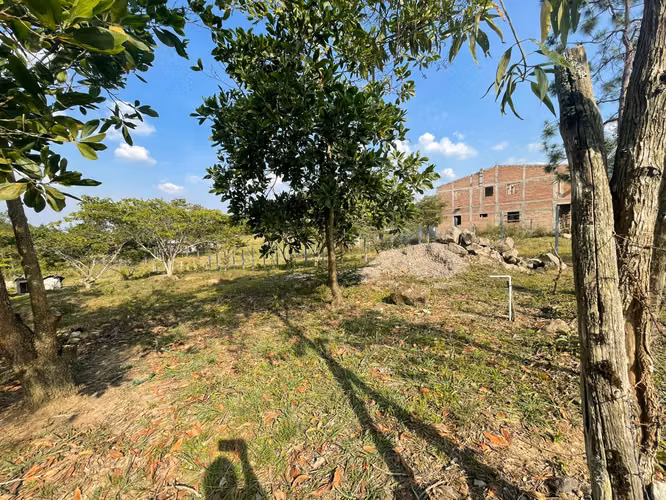 Venta de terreno plano en Siguatepeque // 1 mil varas - Imagen 4