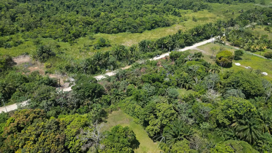 Terreno en venta ubicado en Aldea Cuyamel