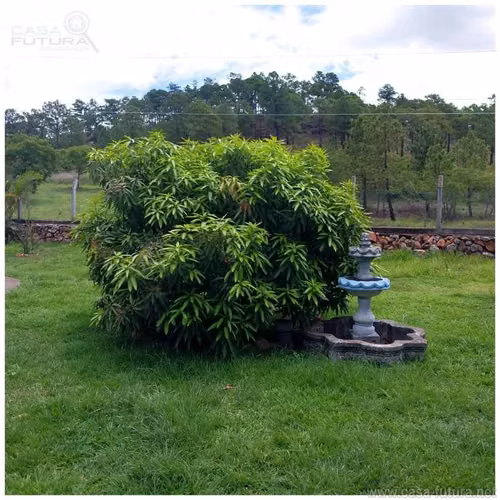 Pintoresca Casa Campestre NUEVA en Sabanagrande con 5 Cuartos y Amplio Patio 4800 v2