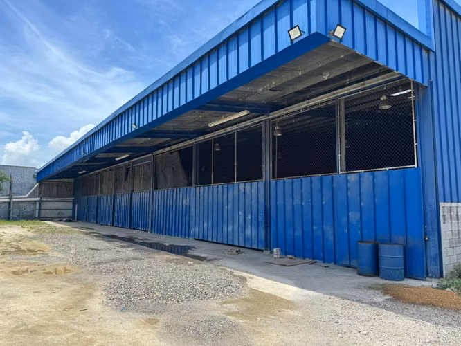 Alquiler Bodega San Fernando SPS - Imagen 1