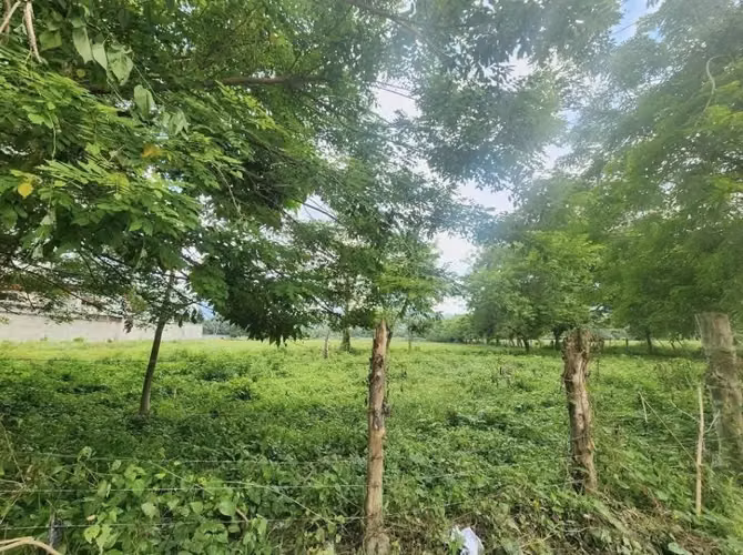Se Vende Terreno atrás de Col. Fesitranh- San Pedro Sula - Imagen 2