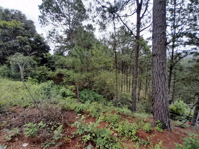 Venta Terreno en Valle de Ángeles