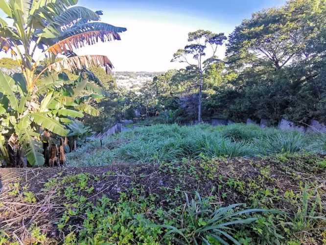 Terreno  en Monte Real del Bosque - La Ceiba