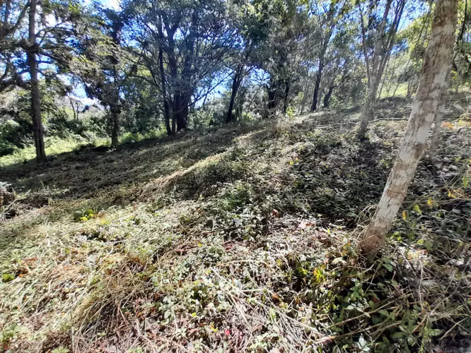 Venta Terreno en Villa Elena - Imagen 4