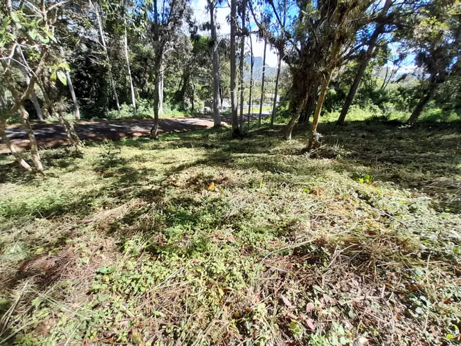 Venta Terreno en Villa Elena - Imagen 3