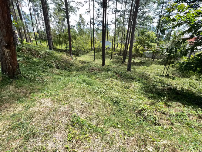 Venta Terreno en Pinares del Valle