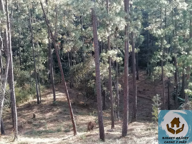 AMPLIO TERRENO EN VENTA EN ZONA EL MOLINO, CERCA DE VALLE DE ÁNGELES - Imagen 7