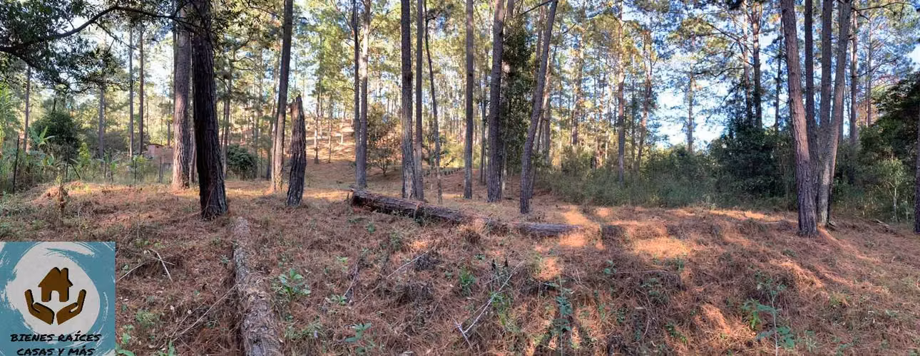 AMPLIO TERRENO EN VENTA EN ZONA EL MOLINO, CERCA DE VALLE DE ÁNGELES - Imagen 5