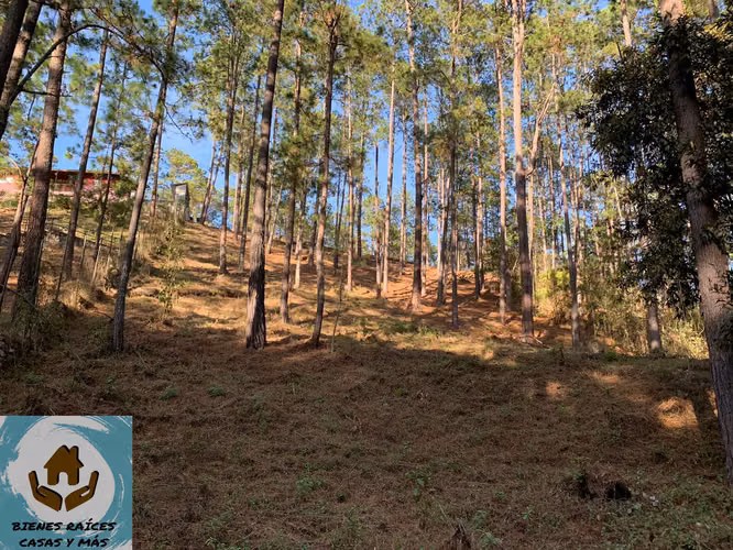 AMPLIO TERRENO EN VENTA EN ZONA EL MOLINO, CERCA DE VALLE DE ÁNGELES - Imagen 4