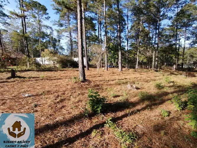AMPLIO TERRENO EN VENTA EN ZONA EL MOLINO, CERCA DE VALLE DE ÁNGELES