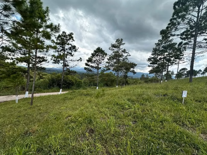 Bellos lotes de terreno en un clima agradable