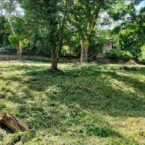 Se vende terreno en Colonia Juan Lindo San Pedro Sula - Imagen 3