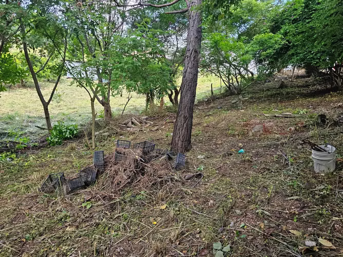 Se Vende Terreno Cerca de Unitec - Imagen 4
