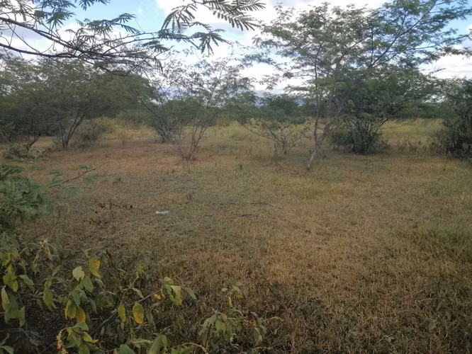 Se Vende Hermosa Propiedad Villa Sn. Antonio/Comayagua
