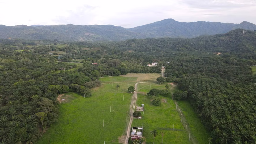 Venta de Lotes desde 216 m², Sector la Tarraloza (Ultimos) - Imagen 4