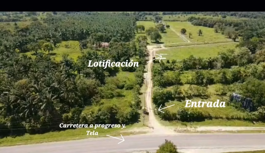 Venta de Lotes desde 216 m², Sector la Tarraloza (Ultimos) - Imagen 5