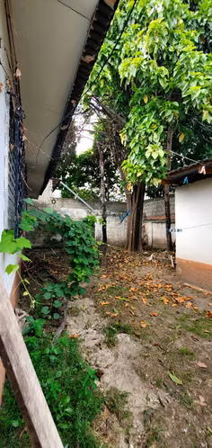 Venta de Casa en Guamilito