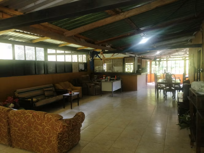 VENTA DE FINCA DE CAFÉ  CON CASA CERCA DE SAN LUIS   PLANES Y GUACAMAYA SANTA BARBARA . - Imagen 6