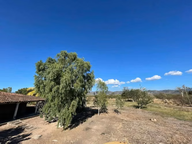 se vende terreno en Comayagua, a orilla de carretera de la CA-5 - Imagen 6