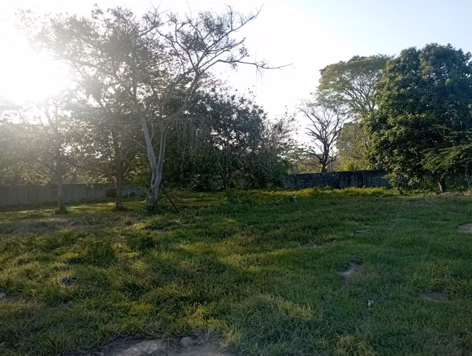 Venta De Lote De 650.38 M2 En Barrio San José Tela, Atlántida - Imagen 5