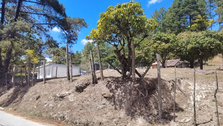 Land Selling in Cerro Grande, Valle Angeles