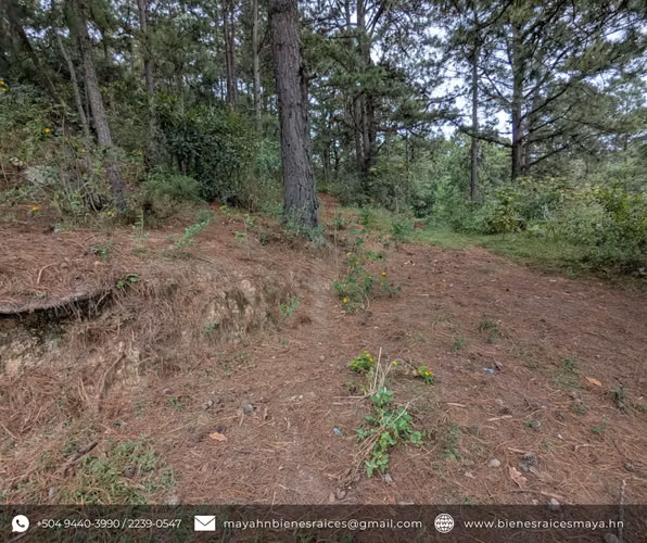 Se vende propiedad en Los Manzanos, La Esperanza