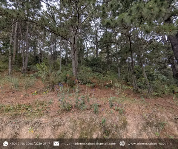 Se vende propiedad en Los Manzanos, La Esperanza