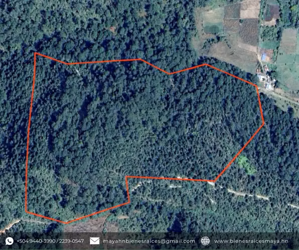 Se vende propiedad en Los Manzanos, La Esperanza