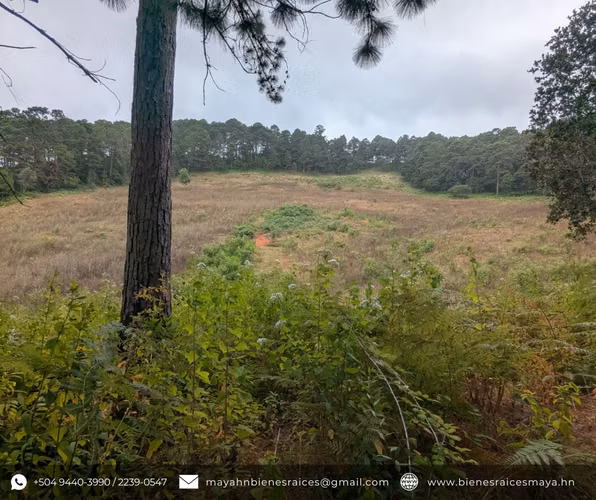 Se vende propiedad en Los Manzanos, La Esperanza