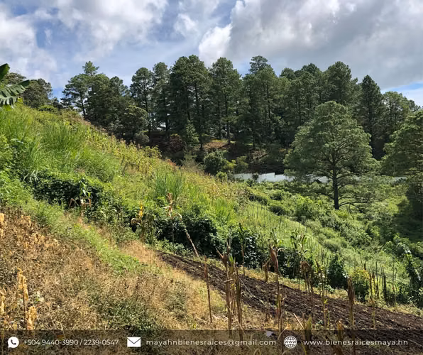 ¡Se vende terreno en El Zamorano – Francisco Morazán! - Imagen 5