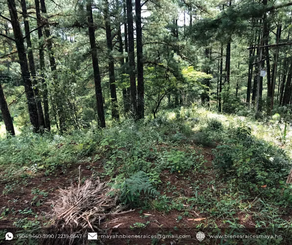 ¡Se vende terreno en El Zamorano – Francisco Morazán! - Imagen 7