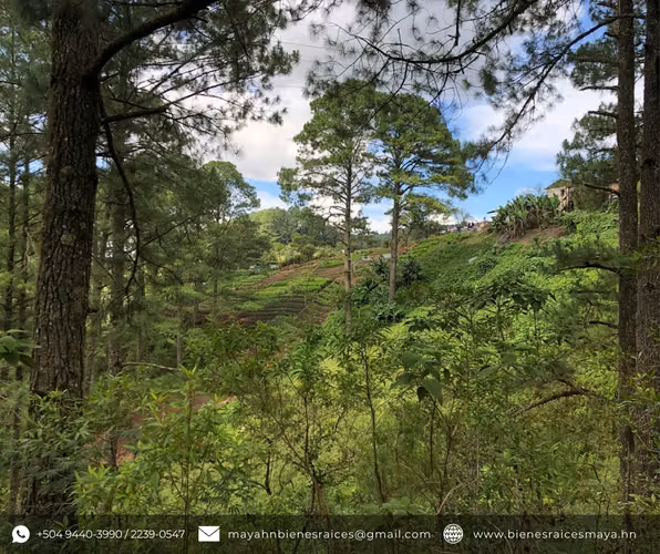 ¡Se vende terreno en El Zamorano – Francisco Morazán! - Imagen 8