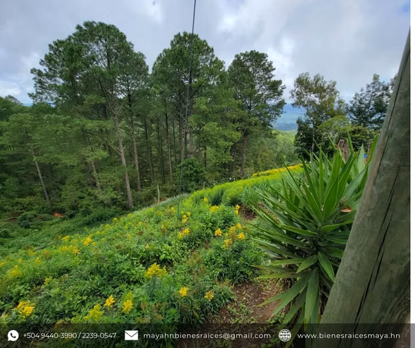 Se vende terreno sobre carretera a La Tigra – La Puente, Jutiapa - Imagen 4