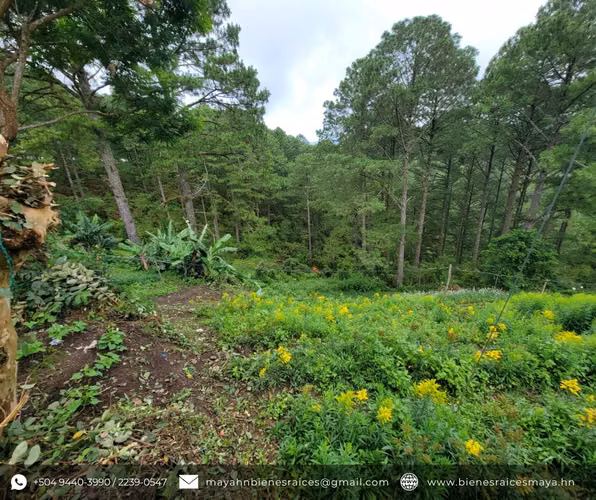 Se vende terreno sobre carretera a La Tigra – La Puente, Jutiapa - Imagen 6