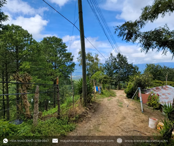 Se vende terreno sobre carretera a La Tigra – La Puente, Jutiapa - Imagen 7